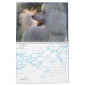 Calendrier Mural Caniche standard 2010 (Mar 2026)