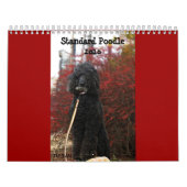 Calendrier Mural Caniche standard 2010 (Protection)