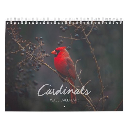 Calendrier mural cardinal (Protection)