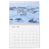 Calendrier mural Caribou 2027 (Jan 2027)