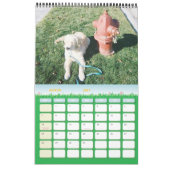 Calendrier Mural Casco (Mar 2027)