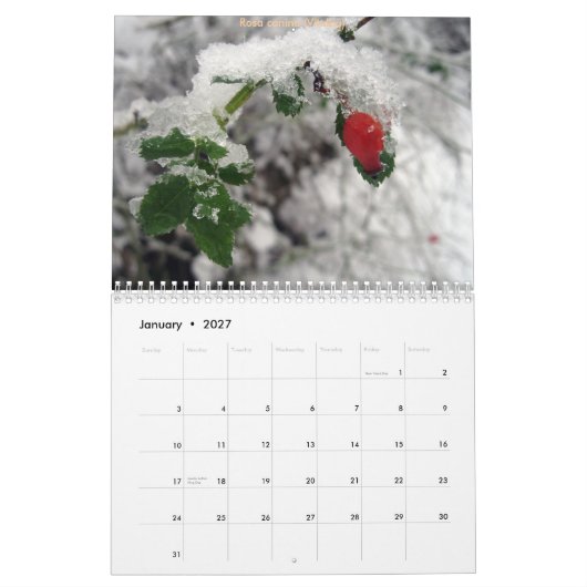 Calendrier Mural CdG 2010 (Jan 2027)