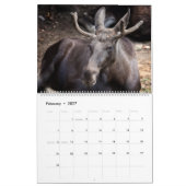 Calendrier mural Cerf 2027 Faune Animaux (Feb 2027)