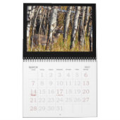 Calendrier Mural Cerf de Virginie à la dune ! (Mar 2027)