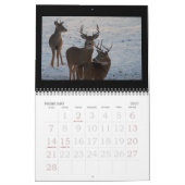 Calendrier Mural Cerf de Virginie à la dune ! (Feb 2027)