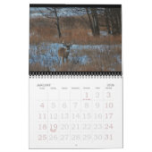 Calendrier Mural Cerf de Virginie à la dune ! (Jan 2026)