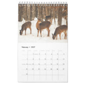 Calendrier Mural Cerfs communs coupés la queue beau par blanc (Feb 2027)