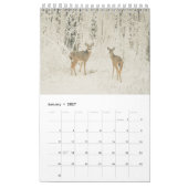 Calendrier Mural Cerfs communs coupés la queue beau par blanc (Jan 2027)