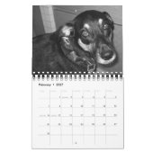 Calendrier Mural C'est la vie 2008 d'un chien (Feb 2027)