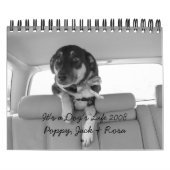 Calendrier Mural C'est la vie 2008 d'un chien (Protection)