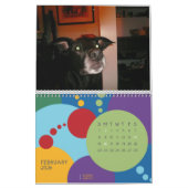 Calendrier Mural C'est MON anniversaire, SUCKAS ! ! ! (Feb 2026)