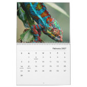 Calendrier mural Chameleon (Feb 2027)