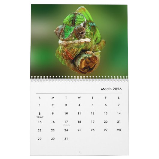 Calendrier mural Chameleon (Mar 2026)