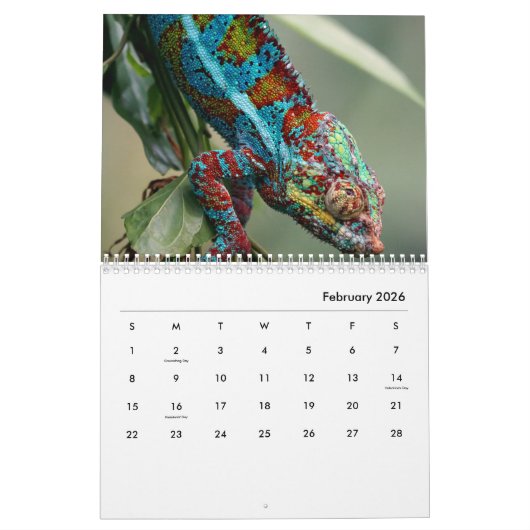 Calendrier mural Chameleon (Feb 2026)