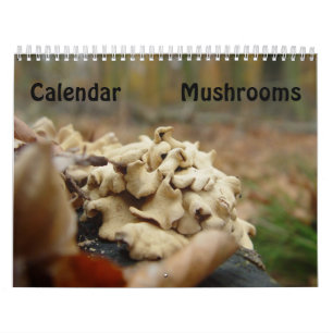 Calendrier Mural Champignons