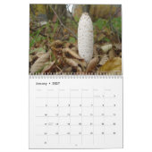 Calendrier Mural Champignons (Jan 2027)