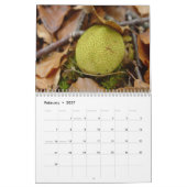 Calendrier Mural Champignons (Feb 2027)