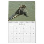 Calendrier Mural Charadriidés - 2010 (Mar 2027)