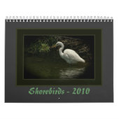 Calendrier Mural Charadriidés - 2010 (Protection)