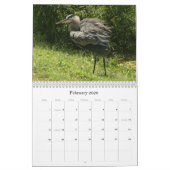 Calendrier Mural Charadriidés - 2010 (Feb 2026)