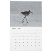 Calendrier Mural Charadriidés atlantiques (Jan 2027)