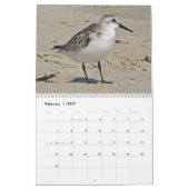 Calendrier Mural Charadriidés atlantiques (Feb 2027)