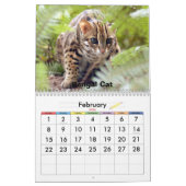 Calendrier Mural Chat 022 du Bengale, chats d'ours et chats du (Feb 2026)
