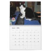 Calendrier Mural Chat "aquarium populaire " de smoking (Mar 2026)