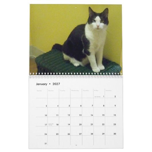 Calendrier Mural Chat "aquarium populaire " de smoking (Jan 2027)