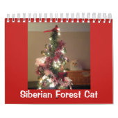 Calendrier Mural Chat sibérien de forêt (Protection)
