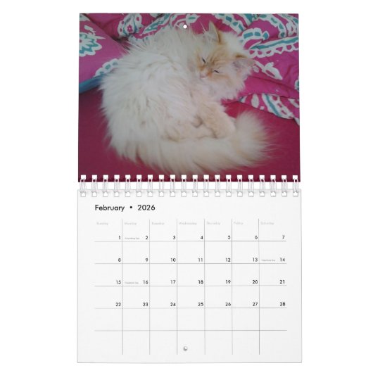 Calendrier Mural Chat sibérien de forêt (Feb 2026)