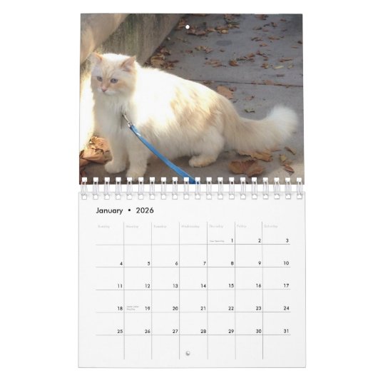 Calendrier Mural Chat sibérien de forêt (Jan 2026)