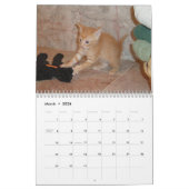 Calendrier Mural Chaton Dax 2011 (Mar 2026)