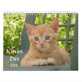 Calendrier Mural Chaton Dax 2011