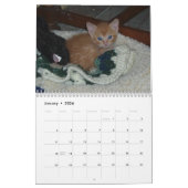 Calendrier Mural Chaton Dax 2011 (Jan 2026)