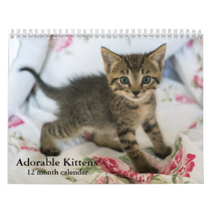 Calendrier Mural Chatons adorables 2026 Chatons Douze Mois Chat