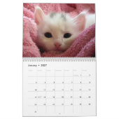 Calendrier Mural Chatons adorables 2026 Chatons Douze Mois Chat (Jan 2027)