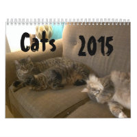 Chats 2015 Marlowe, Peepers et Gryphon