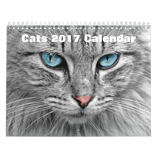 Calendrier Mural Chats 2017 (Protection)