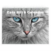 Calendrier Mural Chats 2017 (Protection)