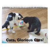 Calendrier Mural Chats, chats glorieux (Protection)