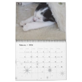 Calendrier Mural Chats, chats glorieux (Feb 2026)