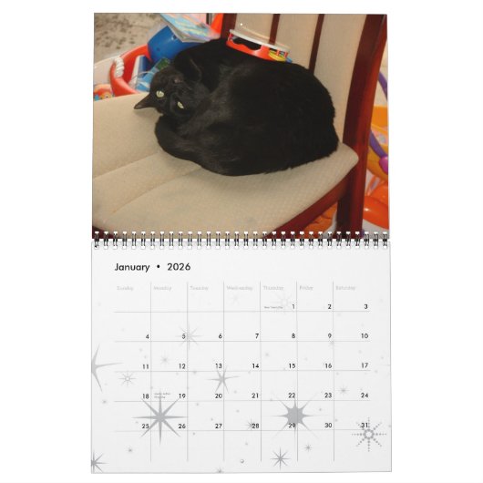 Calendrier Mural Chats, chats glorieux (Jan 2026)