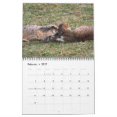 Calendrier Mural Chats de pays (Feb 2027)