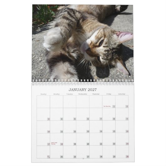 Calendrier Mural Chats du voisinage 2013 (Jan 2027)