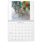 Calendrier Mural Chats du voisinage 2013 (Mar 2027)