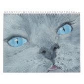 Calendrier Mural Chats et chatons (Protection)