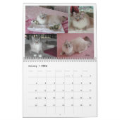 Calendrier Mural CHATS et CHATONS sibériens CAL2008 (Jan 2026)