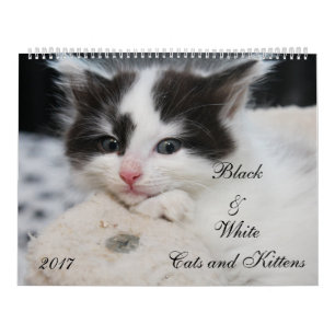 CALENDRIER MURAL CHATS ET CUISINES NOIRS ET BLANCS