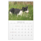 Calendrier Mural Chats grecs (Feb 2027)